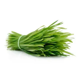 Лист ветивера