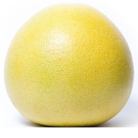 Медовый помело