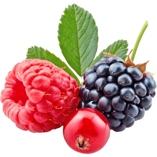 Нектар из лесных ягод