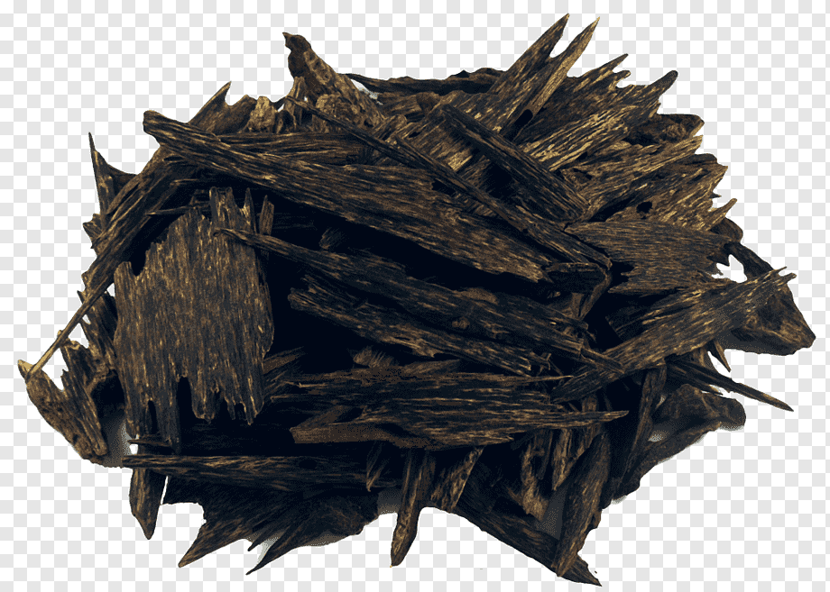 Непальский Уд