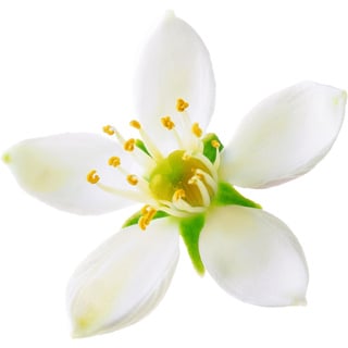 Нероли Орпур®