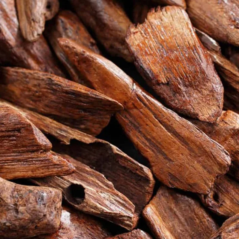 Новокаледонский сандал