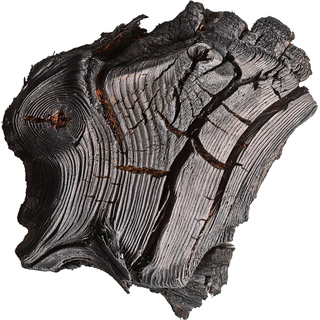 Обугленная кора