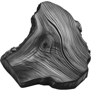 Обугленная сосна