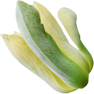 Огуречная магнолия