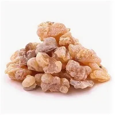 Олибанум дерево