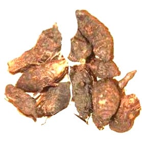 Пакистанская нагармота