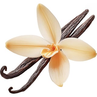 Перуанская ваниль