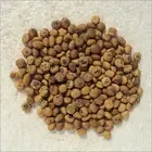 Семена амбретты