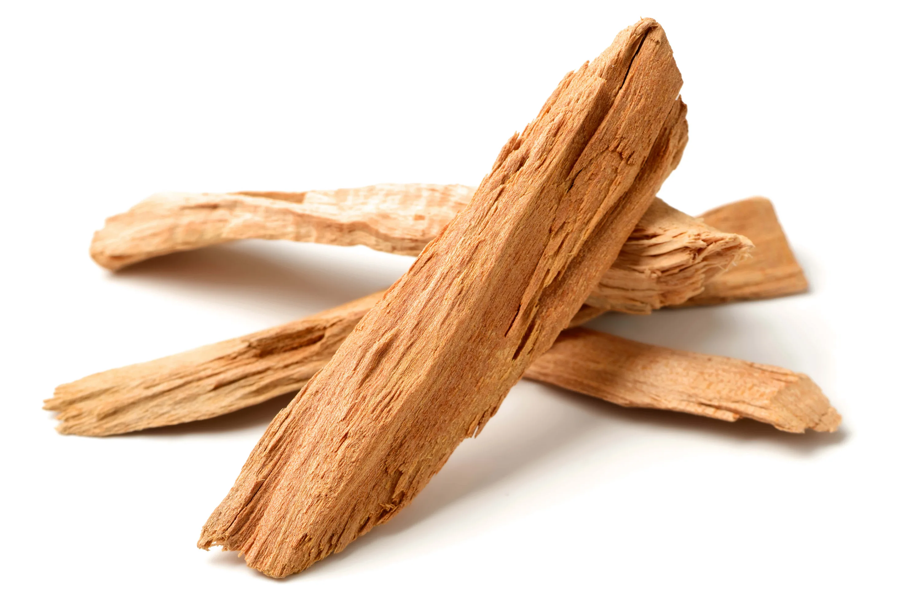 Тиморский сандал