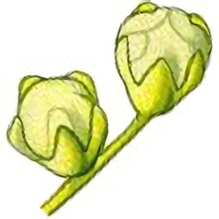 Филипендула