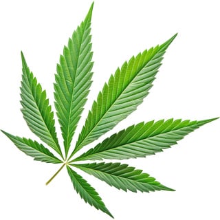 Французская конопля