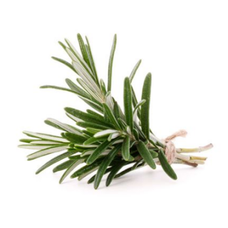 Цветок розмарина