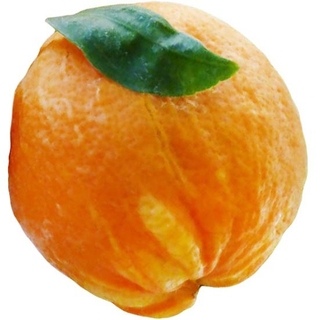 Цитрусовая причудливость