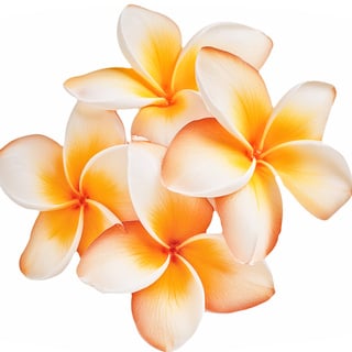 Экзотические нотки