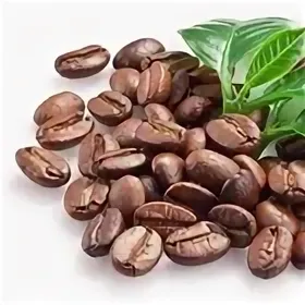 кофе арабика