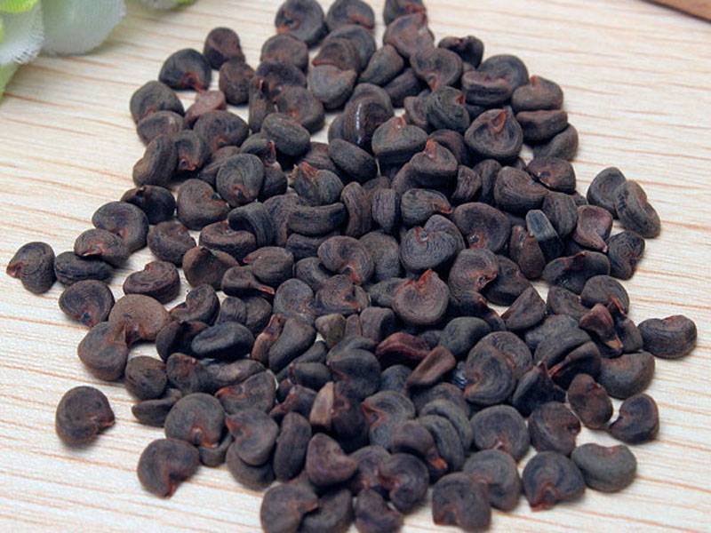 семена гибискуса